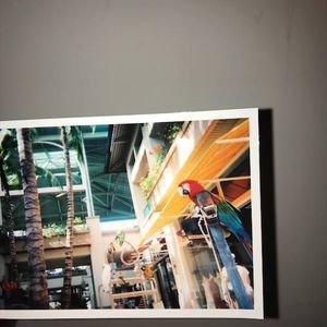 Meet your Posher, Sonya